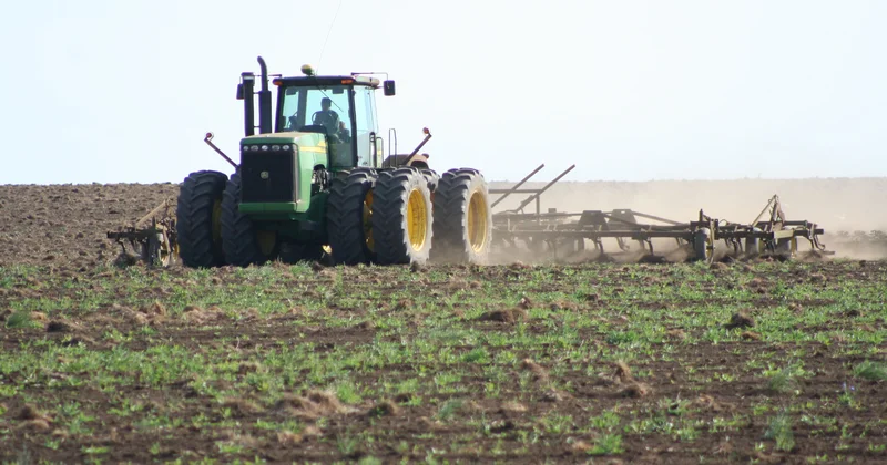 Қостанай облысында 5 млн гектар алқапқа егін егіледі