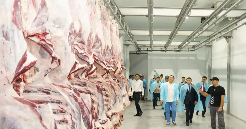 Минсельхоз опроверг сообщения о запрете экспорта казахстанской говядины