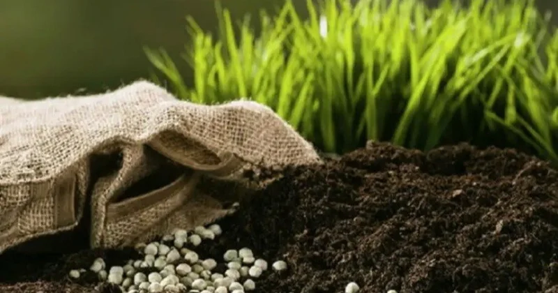 2026 жылға тыңайтқыш енгізу жоспары 2,3 млн тоннаға жетеді АШМ