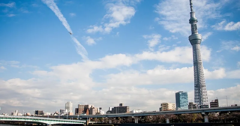 На 5 часов застряли 20 человек в лифте токийской телебашни