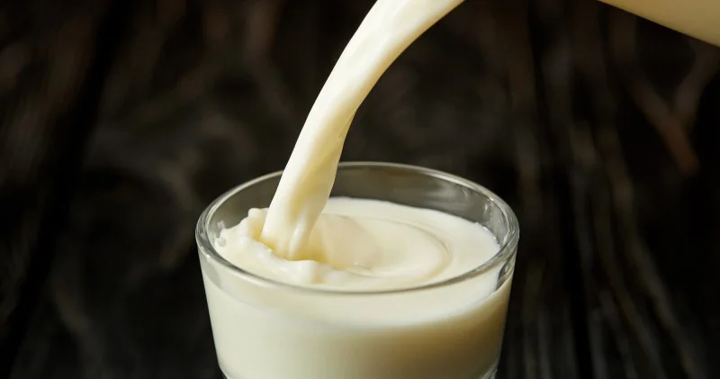 4 пәтер, 11 көлік және жер телімдері: Көкшетауда мемлекеттік субсидияларды заңсыз алғандар әшкере болды