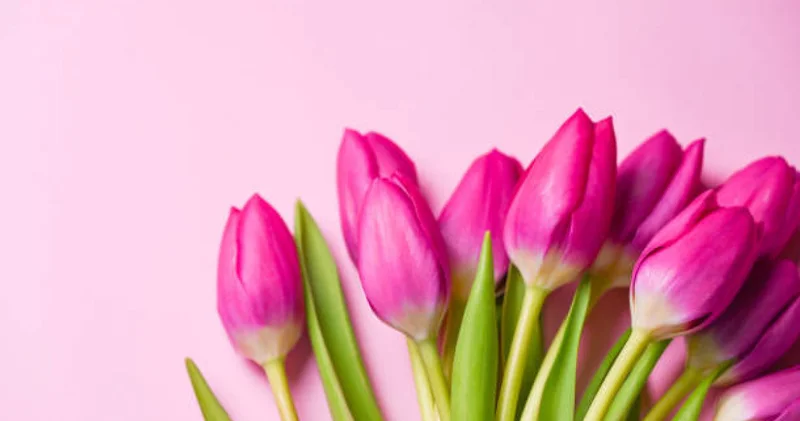 8 наурыз қарсаңында 9 мыңнан астам көпбалалы анаға әлеуметтік төлем беріледі