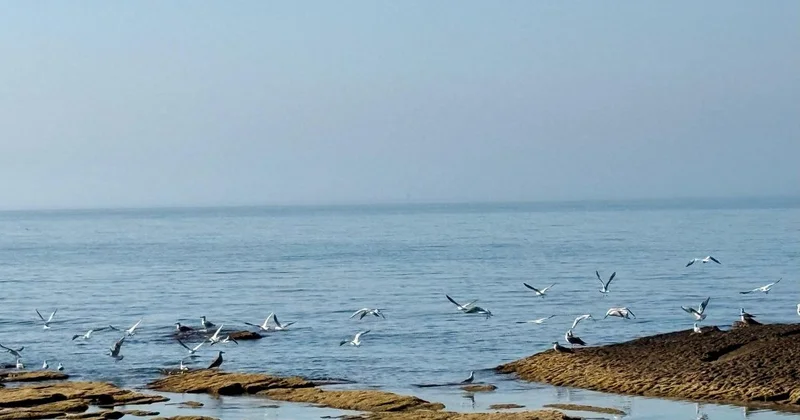 Миллиард тенге выделило правительство Казахстана на изучение Каспия