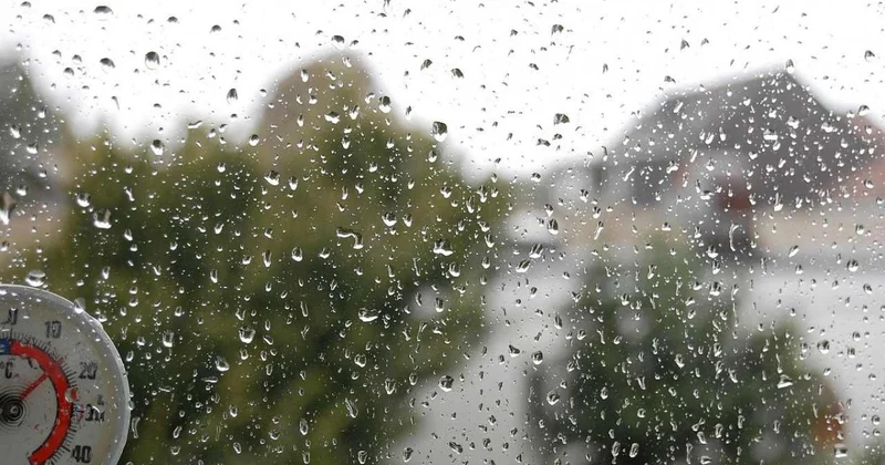 Моросящий дождь и туман ожидаются в Шымкенте