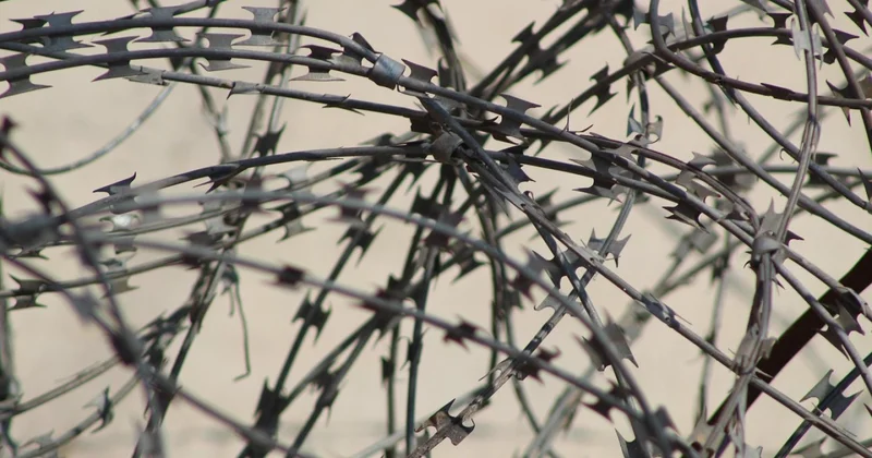 Смартфоны и тихий час: МВД предлагает смягчить правила для осуждённых