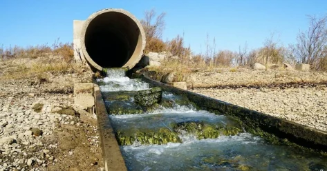 Экологические нарушения на 50 миллионов тенге выявили в Костанайской области