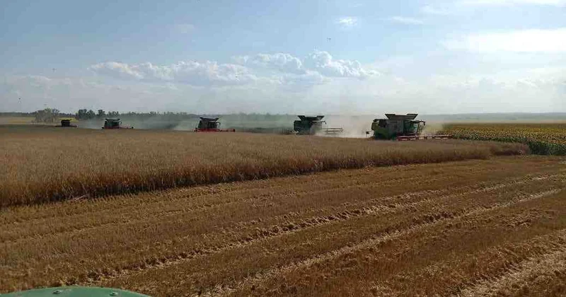 Елдегі жалпы егіс алаңы 23,8 млн гектар болады