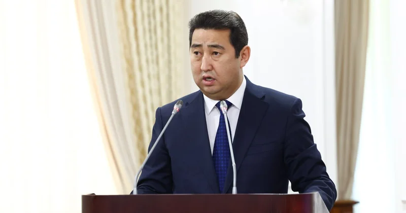 Площади под масличные и кормовые культуры увеличат в Казахстане