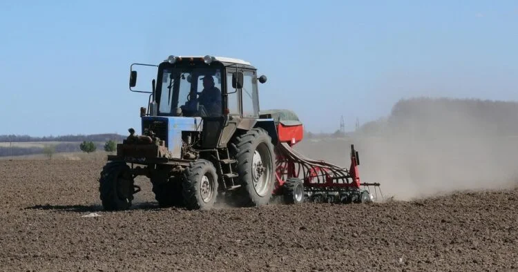 Қызылорда облысында суды аз қажет ететін дақылдар егіледі