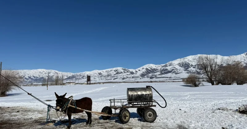 Сто километров до города и два часа воды в день на всех: как выживает забытое село в Жетысу