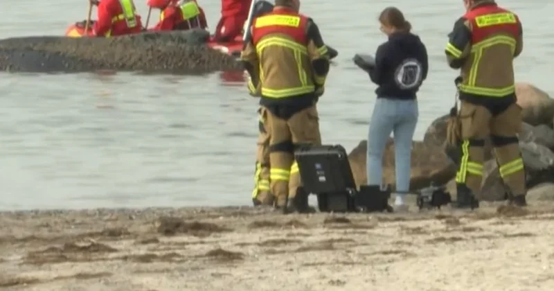 Германия жағалауында өркешті кит қайраңда қалып қойды