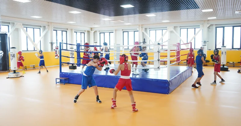 От медалей к системе