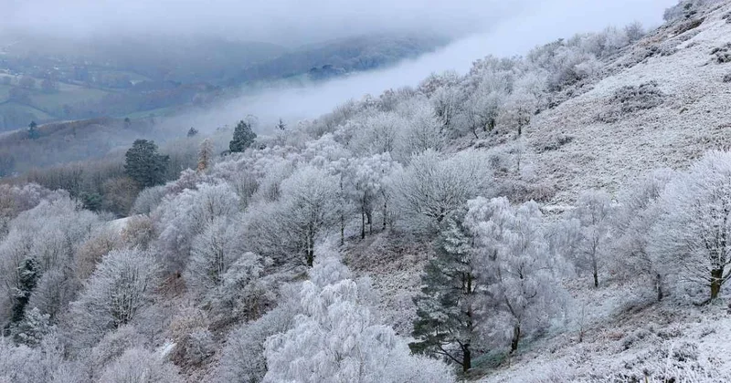 Гололед, туман и грозы прогнозируют синоптики в Казахстане 24 марта