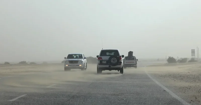 Прогноз погоды на 25 марта: пыльная буря ожидается местами на юге и западе страны, на севере туман и гололёд