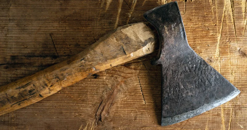 Алматыда оқушы қыз әлеуметтік желідегі нұсқау бойынша мектепке балтамен келді