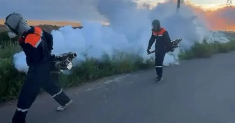 Борьба с комарами и мошками в Астане: горожанам рекомендуют закрывать окна при обработке