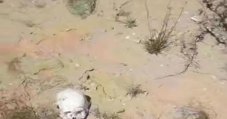 Атыраудағы зираттардың бірінде адам сүйегі шашылып жатыр