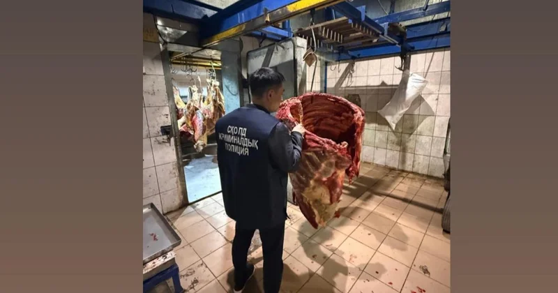 Сотрудников ДЧС Акмолинской области задержали по подозрению в скотокрадстве