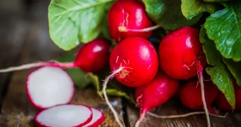 Зачем нужно включать в весенний рацион редис, рассказала диетолог