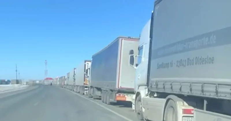 Қырғызстан шекарадағы ветеринариялық бақылауды реттемекші