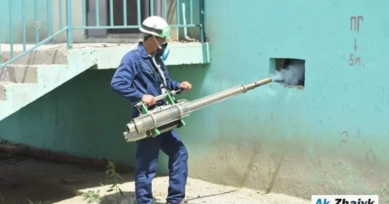 Атырау облысында масамен күрес біркелкі емес: Жылыой мен Мақатта ғана қаржы бөлінген