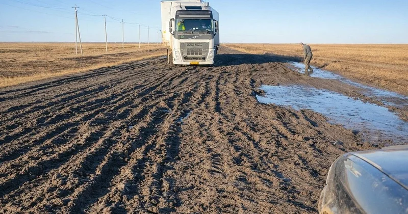 Не в ту степь