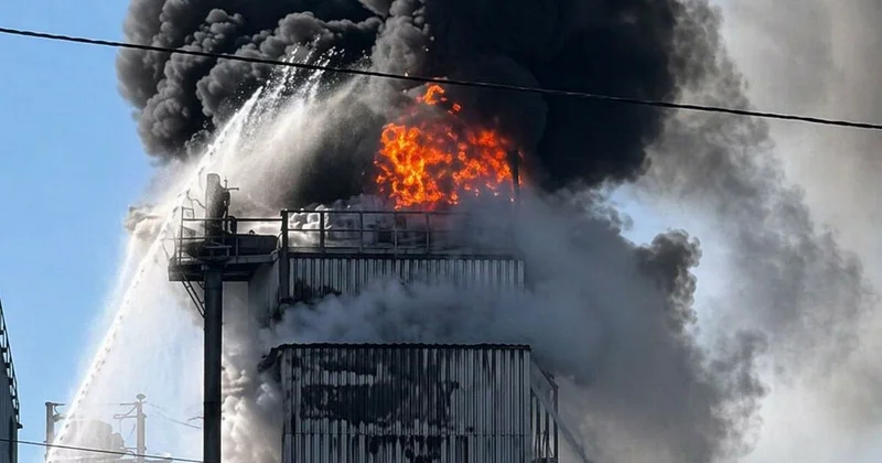 Это уже не семечки