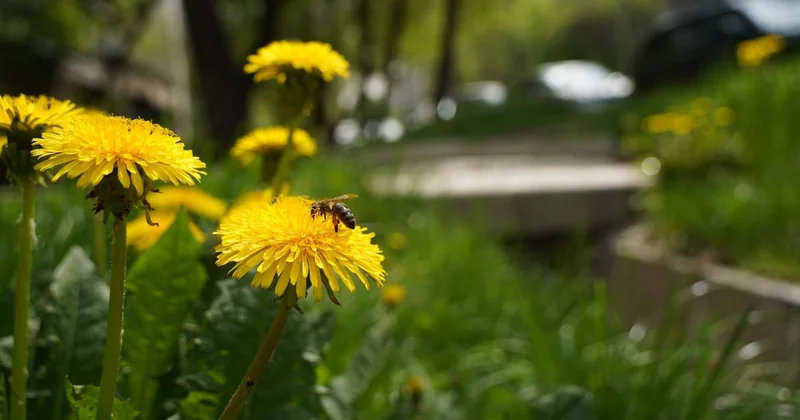Дождь и до 24 градусов тепла обещают в мегаполисах Казахстана в пятницу