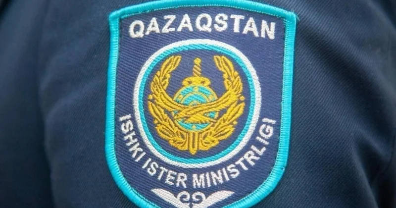 Алматыда желіден тапсырма алған оқушы қыз мектепке балтамен келген