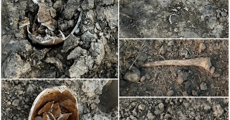 Не представляют ценности : в акимате ВКО прокомментировали стройку на месте старого погоста