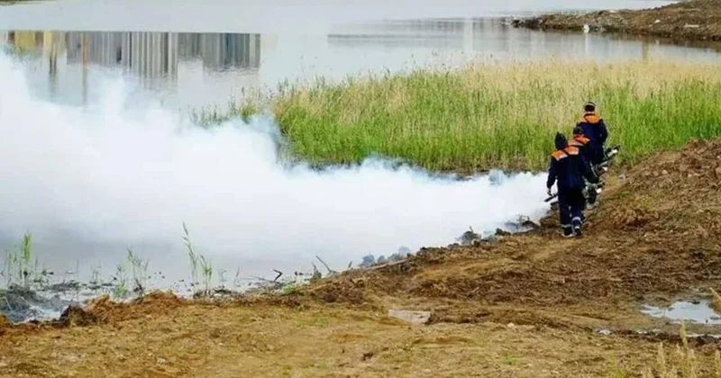 Астанада масаға қарсы дезинсекция басталды: 8600 гектар су айдыны өңделді
