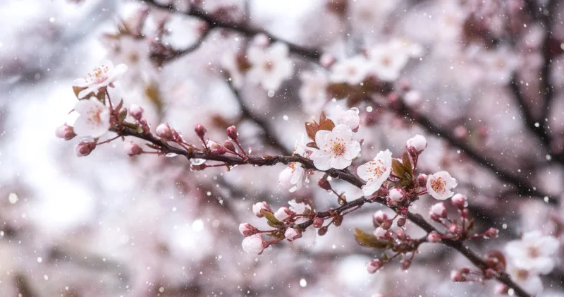 Қазақстанға қар мен үсік қайта оралады