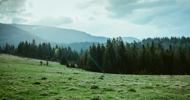 Астанада күн күрт суытады, ал Алматыда күн күркірейді: 25 27 сәуірге арналған ауа райы болжамы