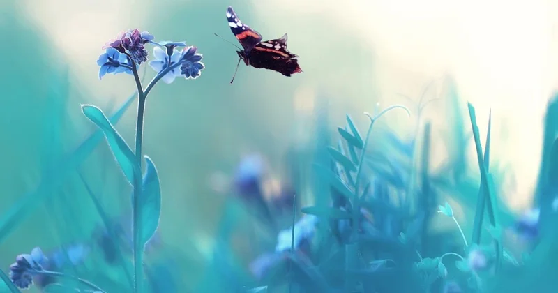 Прогноз погоды на 25 июня: дневные температуры в Казахстане не опустятся ниже 26 градусов тепла