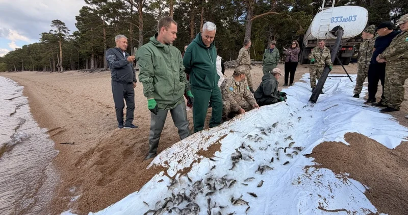 Бурабайда экологиялық тыныштық режиміне дайындық басталды