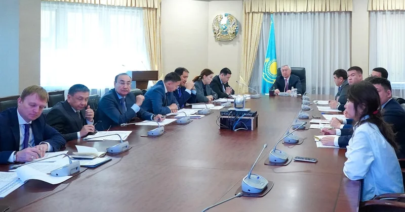Дәнді дақыл егіс алқаптарының 15,8 млн гектары жиналды Үкімет