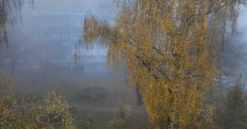 Прогноз погоды на 25 ноября: туман ожидается на большей части Казахстана, на востоке низовая метель и гололёд