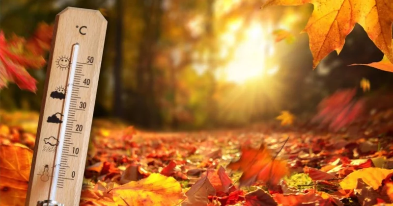 Порадует ли погода жителей Шымкента