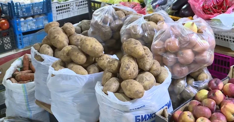 Жыл сайын ел экономикасы бес пайызға өседі