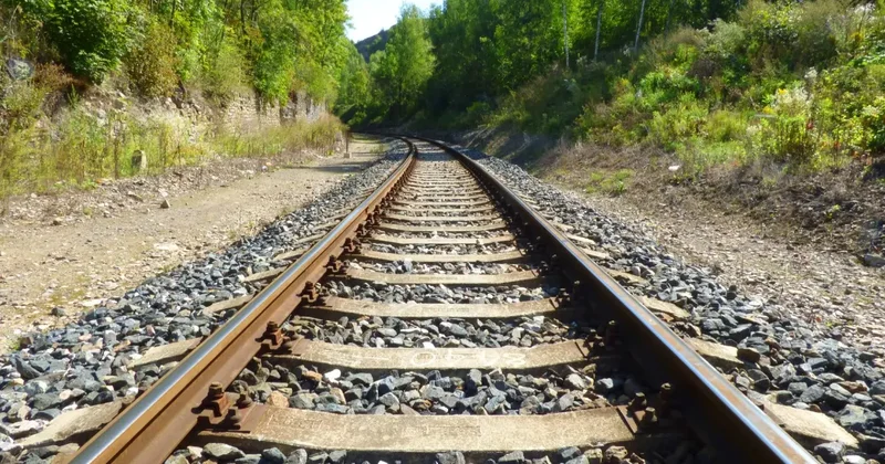 Железнодорожный путь воинской части незаконно передали коммерсантам в Жетысуской области