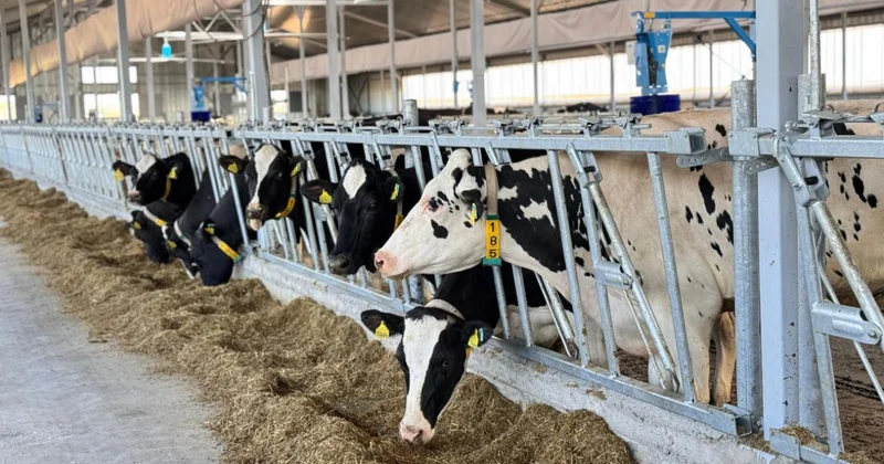 Қоймаға 40 млн тонна мал азығы жиналды