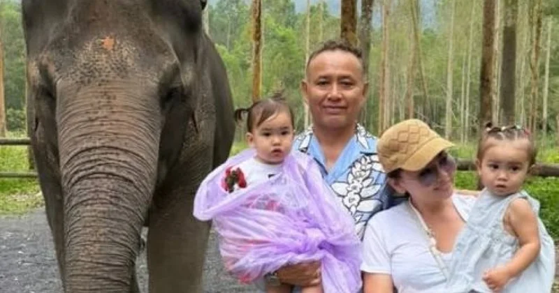 Дочери Баян Алагузовой покормили слонов в Таиланде