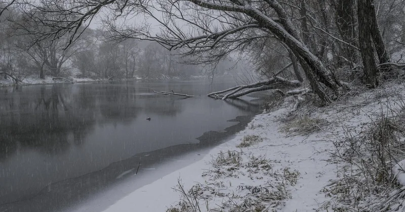 Туман, гололед и метель ожидаются в нескольких областях Казахстана