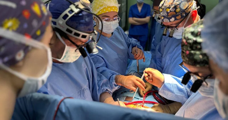 Шестерых казахстанцев спасли благодаря посмертным донорам