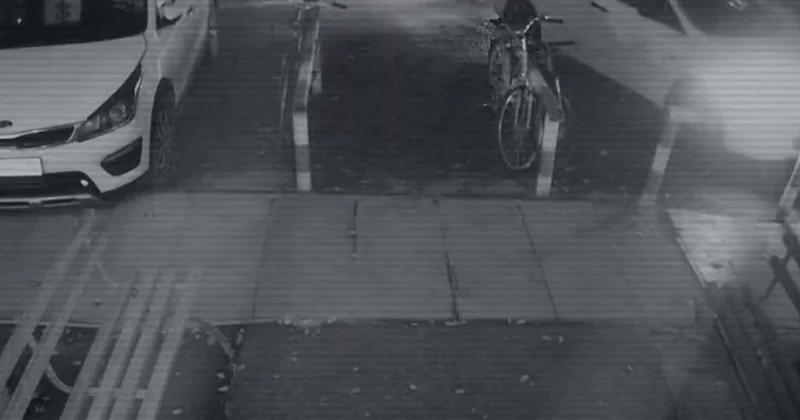 ​Яна Легкодимованың өлімі: сүйегі табылмаған айғағы жоқ істі тергеушілер қалай ашты?