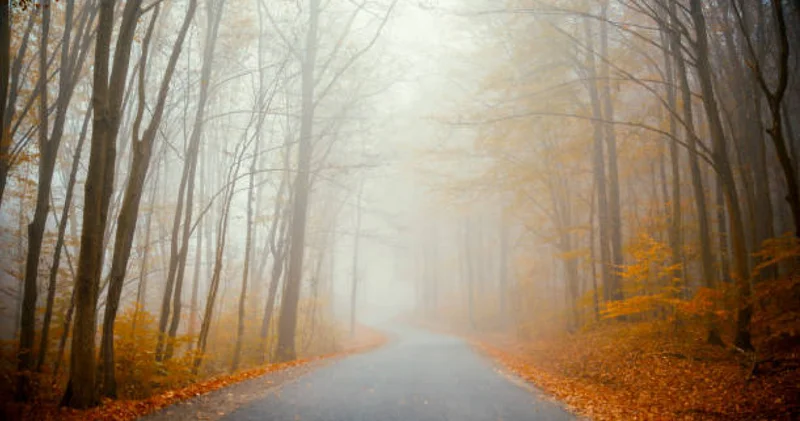 Дауылды ескерту жарияланды