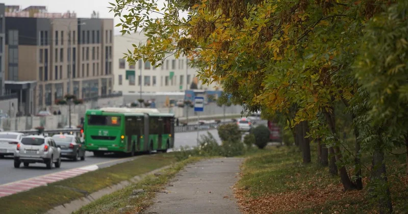 Балует теплом : непривычно солнечную для конца ноября погоду пообещали синоптики в Казахстане
