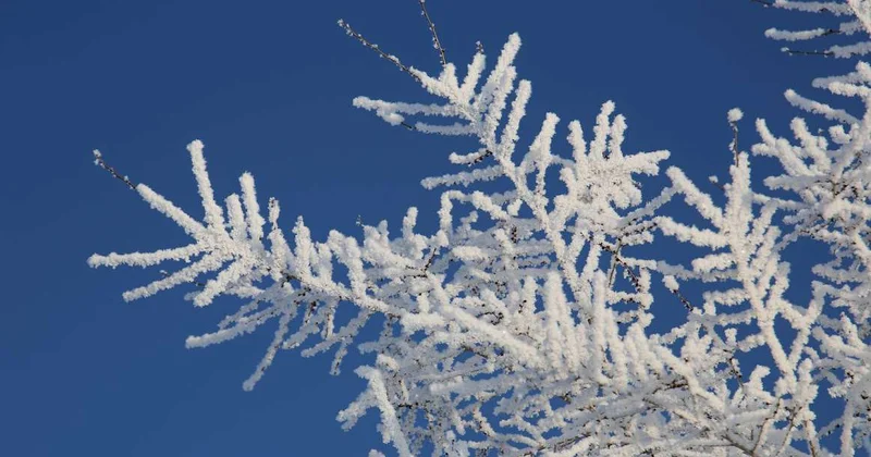 Какой будет зима в Казахстане, рассказали синоптики