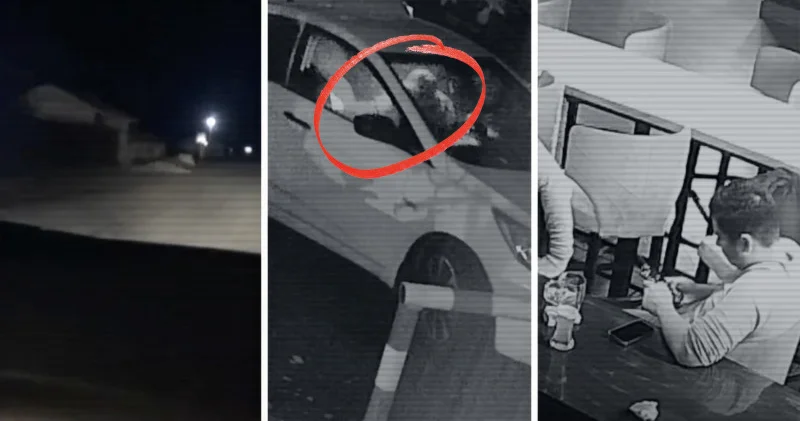 Яна Легкодимованың өлімі: ІІМ қылмысқа қатысты видео жариялады