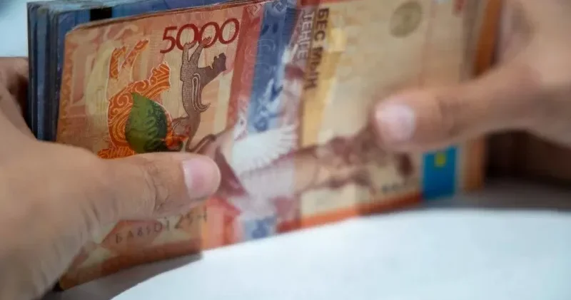 Экономист несие қай кезде адамға қолдау болатынын, ал қай кезде нағыз қорқынышқа айналатынын айтты